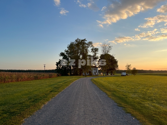 - Countryside Stillness