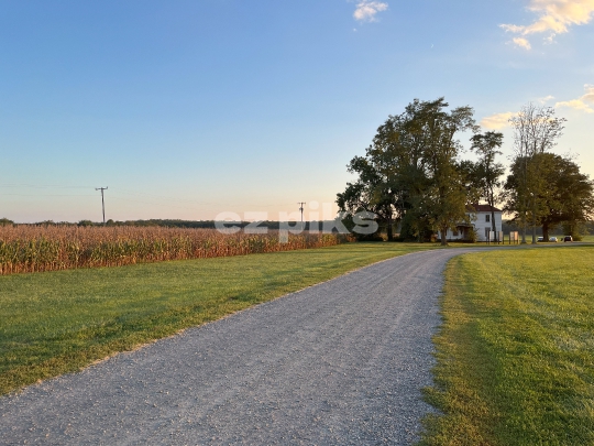 - Countryside Stillness