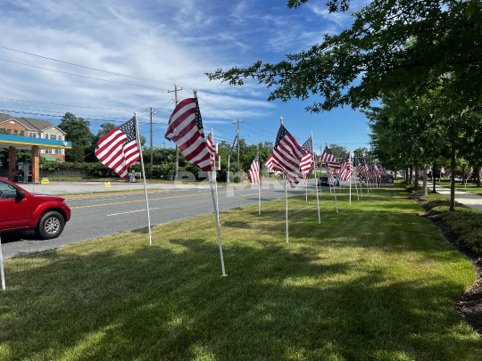 American Flags