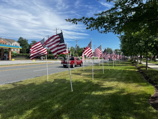 American Flags