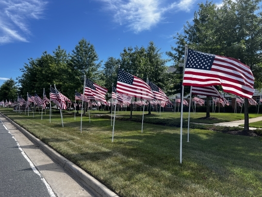 American Flags