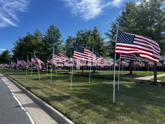 American flags