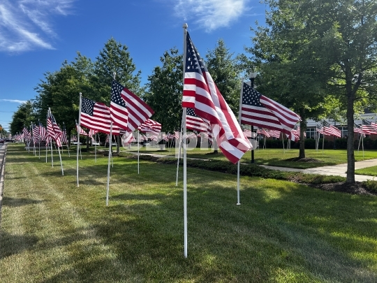 American flags