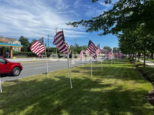 American flags