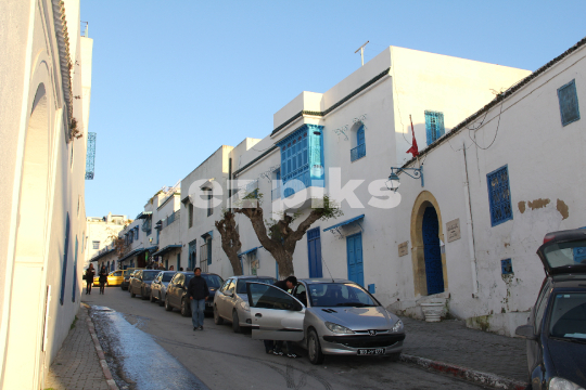 Blue Homes