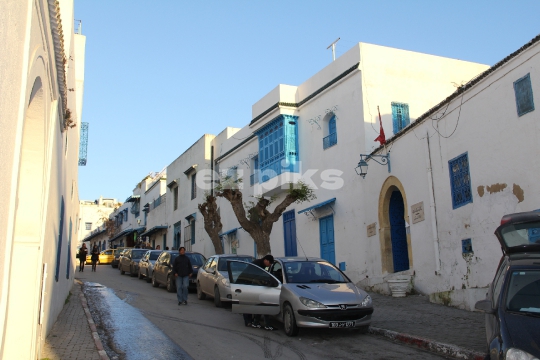 Blue Homes