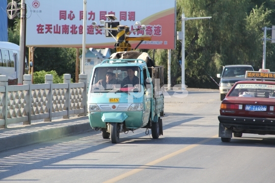 Cattle Transport