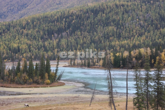 China_qt_s Nature