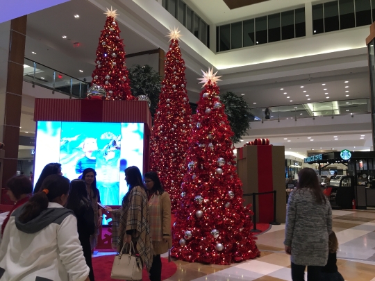 Christmas Festivities