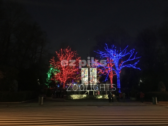 Christmas Lights