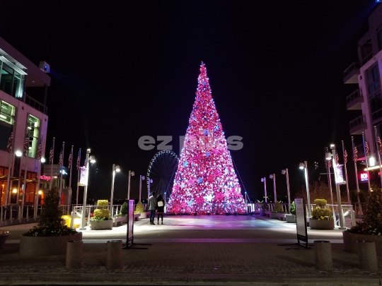Christmas Street Decorations