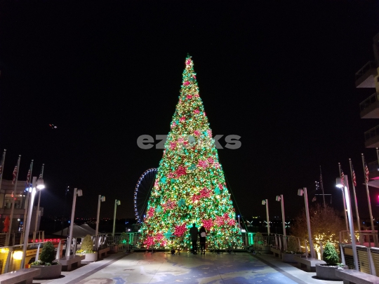 Christmas Street Decorations