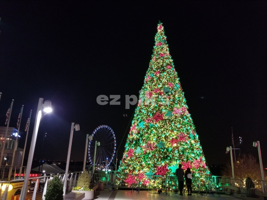 Christmas Street Decorations