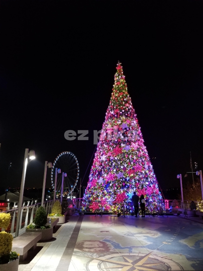 Christmas Street Decorations