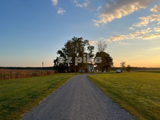 Countryside Stillness