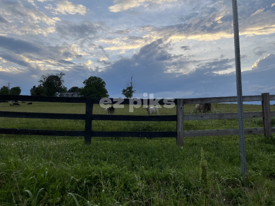 Farm
