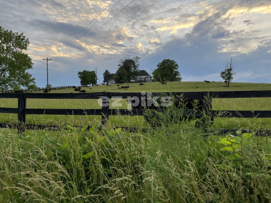 Farm