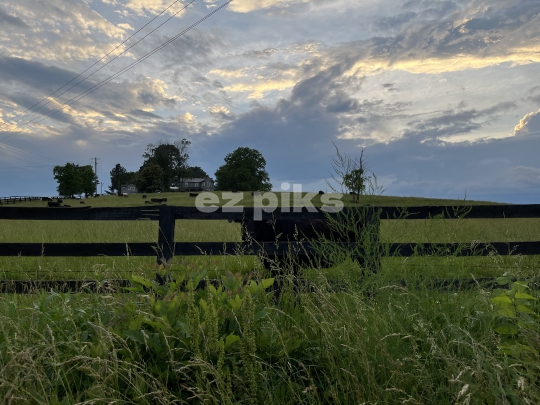 Farm