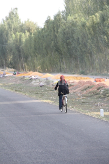 Female Bicycler