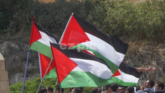 Flags