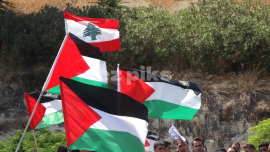 Flags