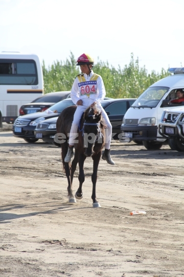 Free Horse Race