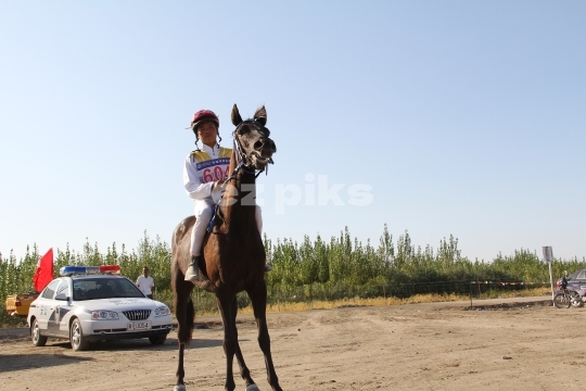 Free Horse Race