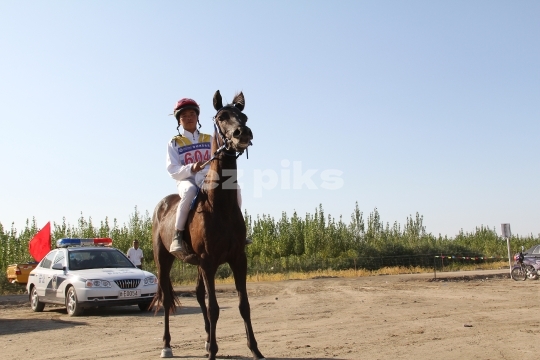 Free Horse Race