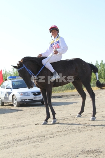 Free Horse Race