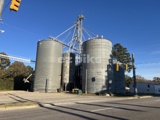 Grains