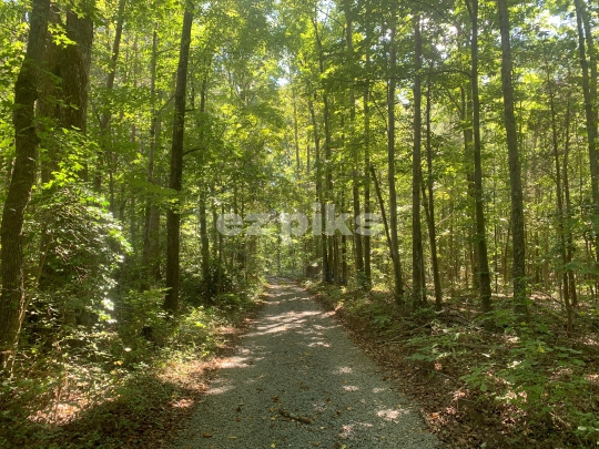 Greenery