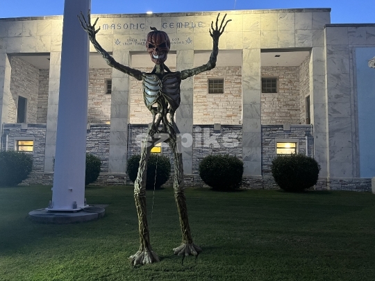 Halloween Decorations 