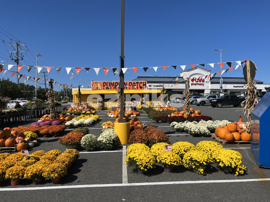 Halloween Pop-up Store