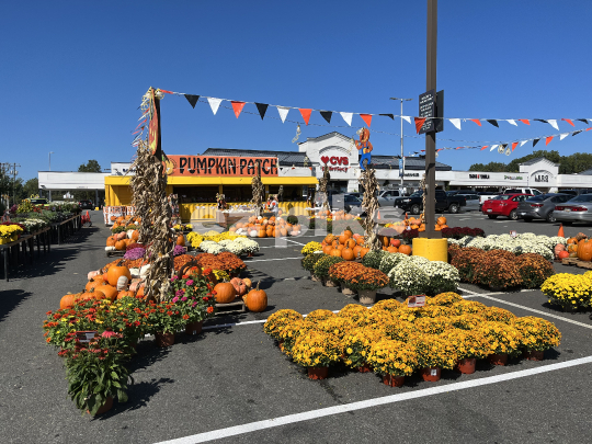 Halloween Pop-up Store