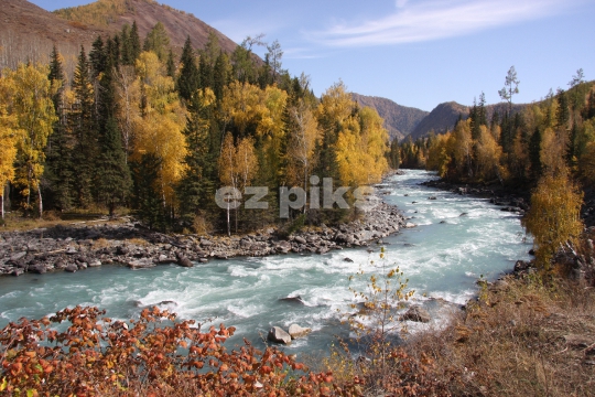 Kanas natural reserve