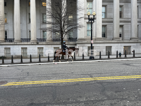 Mounted Police