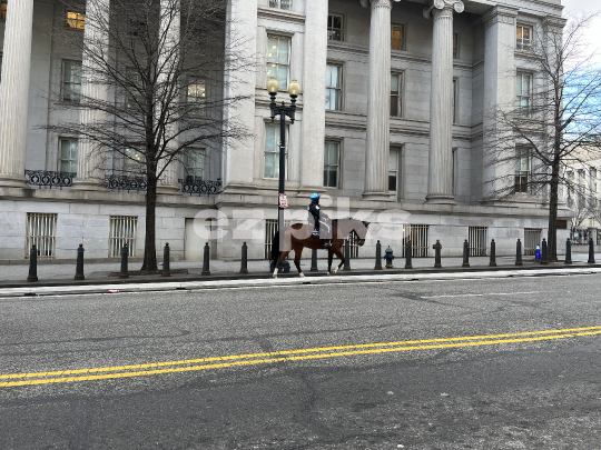 Mounted Police