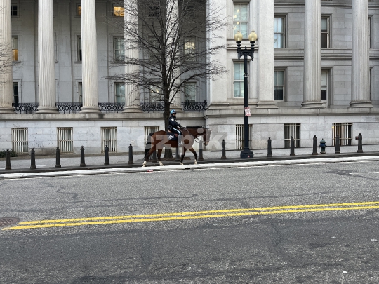 Mounted Police
