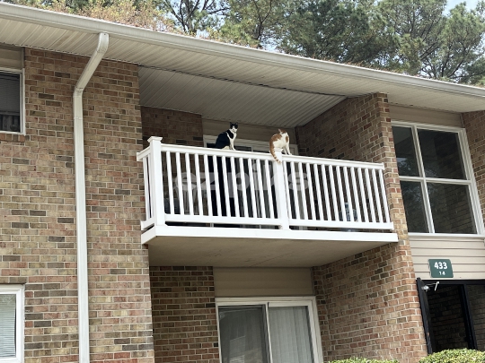 Neighborhood Watch 