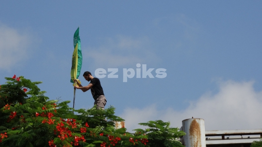 Palestinian flag