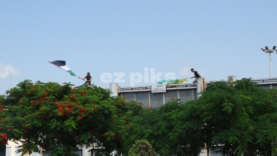 Palestinian flag