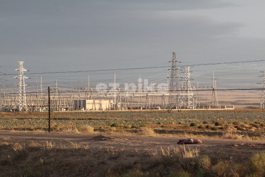 Power Grid