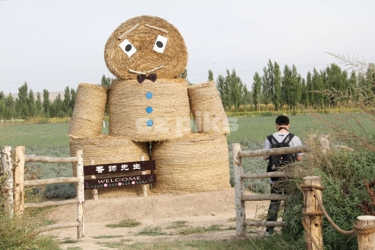 Scarecrow