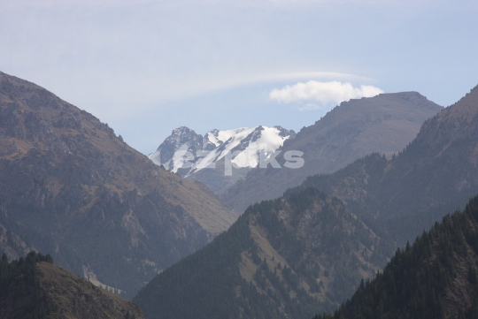 Snowy Mountains