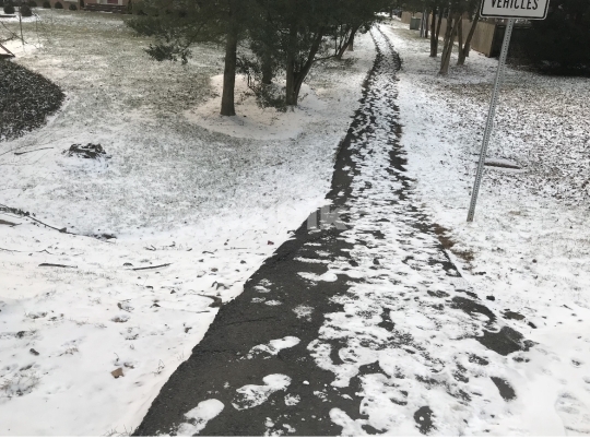 Snowy Walkway