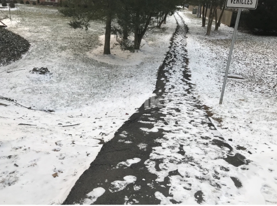 Snowy Walkway