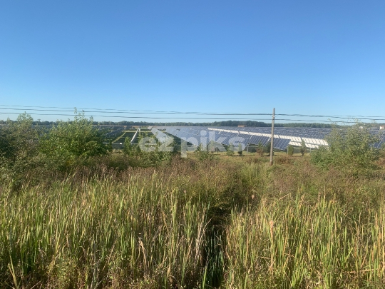 Solar Farm