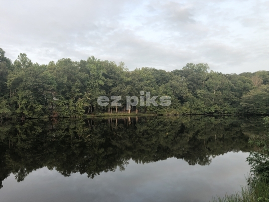 Still Water