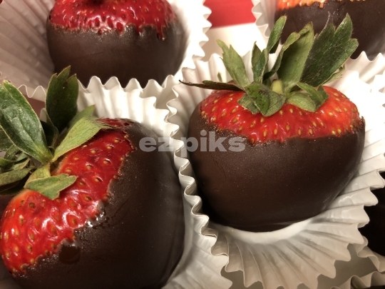 Strawberry Chocolate