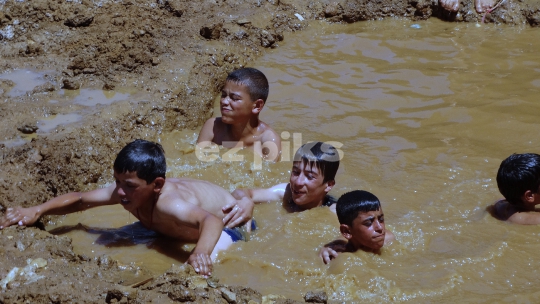Summer Fun